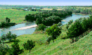 prednistrove2009 9